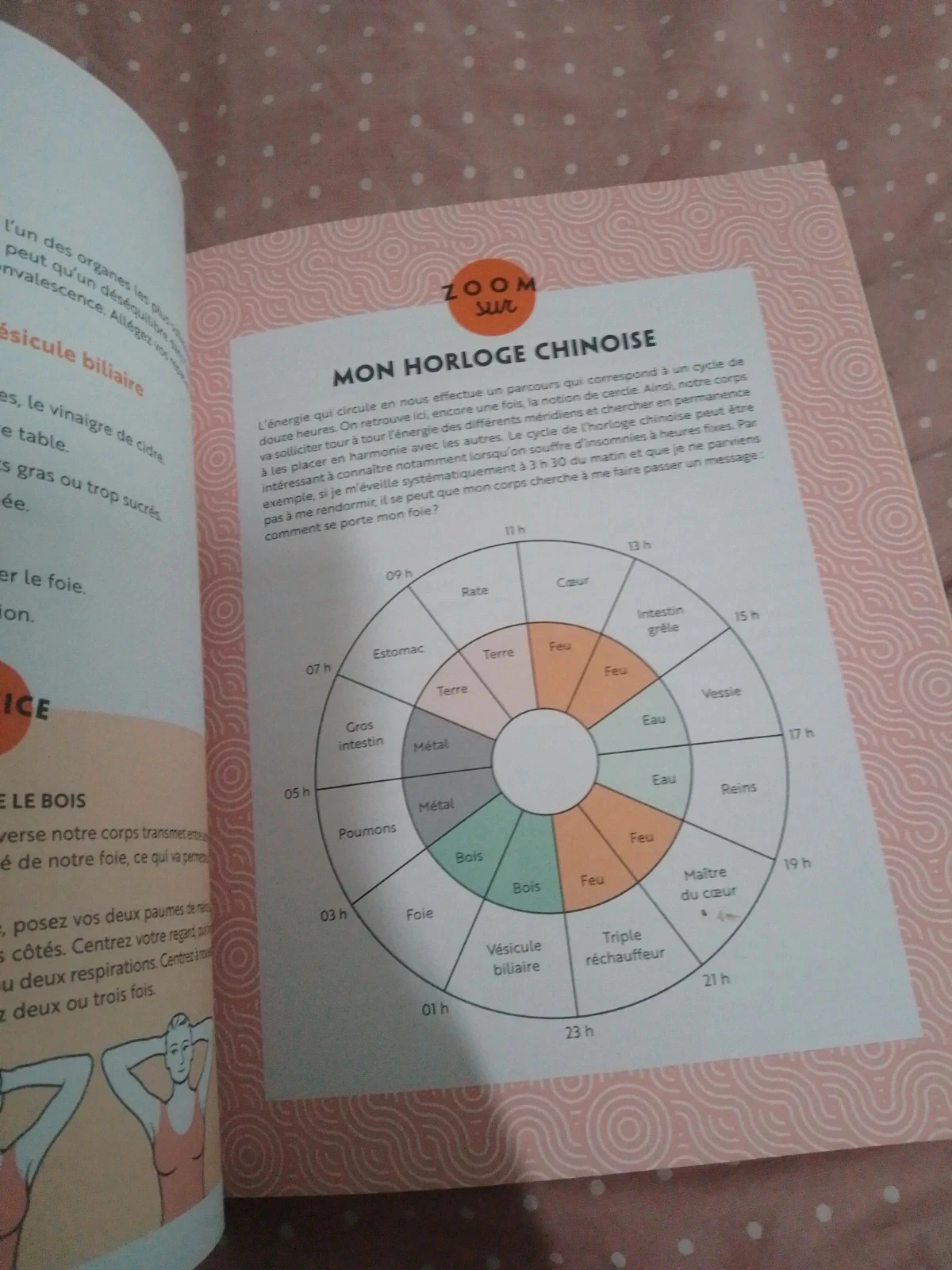 Libro cuidados energéticos cuerpo alma espíritu salud equilibrio – photo 4